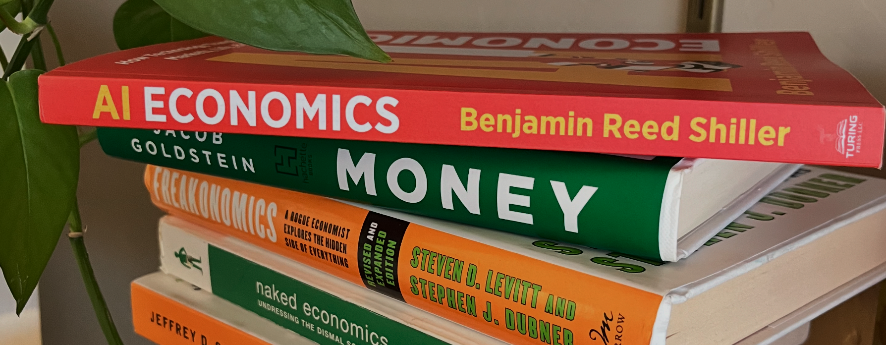 Stack of economics books with AI Economics by Benjamin Reed Shiller on top, alongside Freakonomics, Naked Economics, The End of Poverty, and The Why Axis