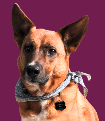 Lu
