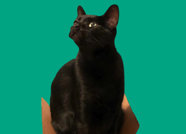 Walter