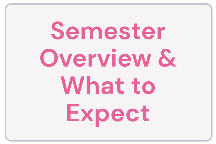 image-20251204104912-1