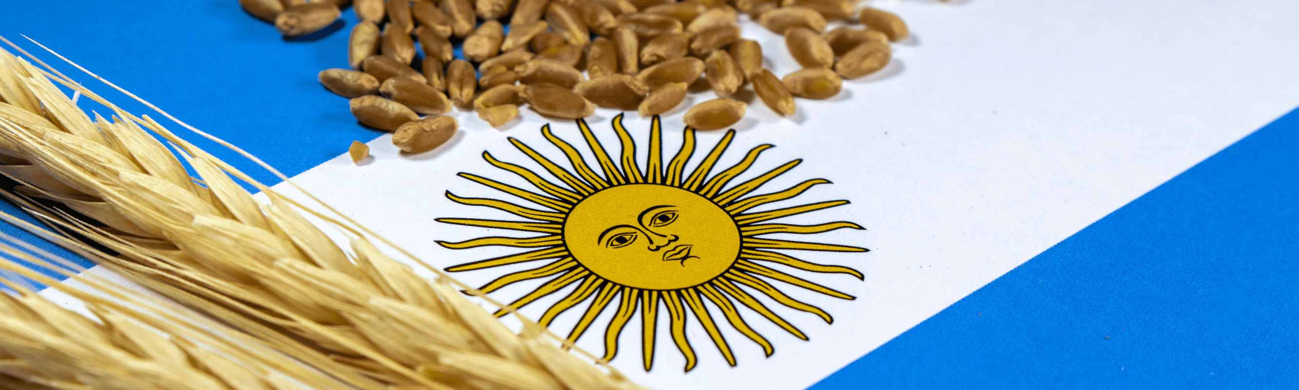 Argentinian flag with soy beans and wheat overtop to visually tie directly to the Argentina PPF example provided in the lesson.