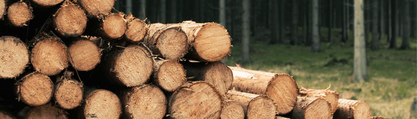 A stack of lumber piled high to depict market failures and tragedy of the commons. 